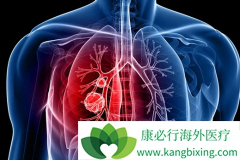 ����ҩ�ｨ�齫�������������������