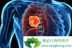 ��֢���ڻ����ٶ�����ְ�֢֢״