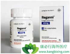 ������(REGONIX)����������������ҩ��