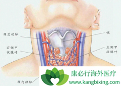 �ֻ��ͼ�״�ٰ�֢����ʹ�õ�131����ע������