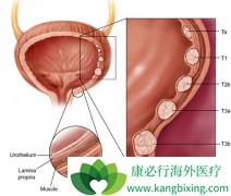 �о����ִ�������װ�֢״��Ѫ��