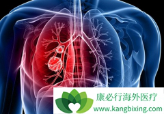 �ΰ���ת���������Ѫ��ת�ƵĲ�λ