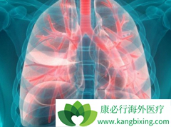 ���˷ΰ���ʳӦ��ʱ����Ӫ��Ϊ��