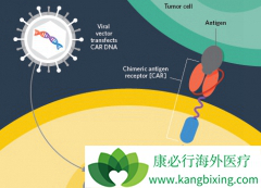 Gilead���¹�˾Kite���ڿ�������CAR-Tϸ���Ʒ�