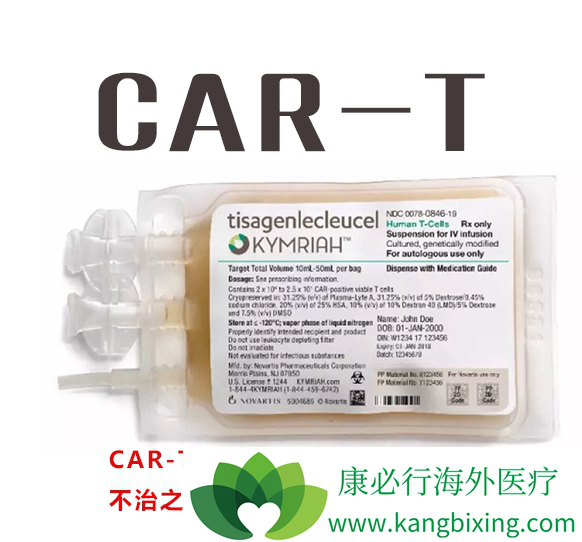 CAR-T