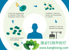 2017��ŵ���ͼ����µ�����CAR-Tϸ����Ʒ��������