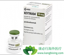 �ΰ�ʹ��EGFR���Ƽ�����PD-1���Ƽ������������Ч��