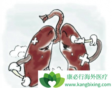 ���Ľ���ɱ�ַΰ���Ⱦ��