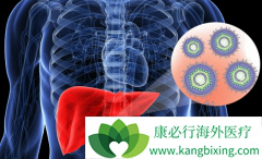 �Ҹ����԰��ǹ�����õ��Ҹμ��Ѫ���־��