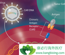 CAR-T��������ͷŵ��Kymriahʵ�ַ���