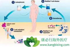 Ŀǰ�������ҹ�˾CAR-T�Ʒ��Ľ�չ