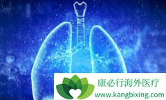 �������ΰ���ת�Ʒ�����������