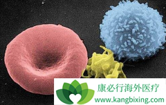 ��֢�ᴫȾ���ǻ��ߺͼ��������ĵ�����