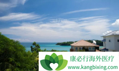 ҽ�������ѳɳ�Ϊȫ����������һ�����˲�ҵ