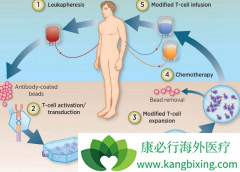 CAR-Tϸ���Ʒ���һ�ָ߶ȸ��Ի��İ�֢���Ʒ���