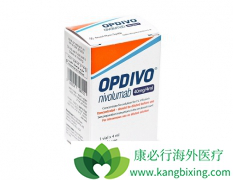 PD-1����Opdivo�������ӳ���Сϸ���ΰ�����������