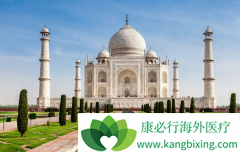 ӡ��ҽ�����ε������뽫�п��ܴﵽ10�ڵ�20����Ԫ