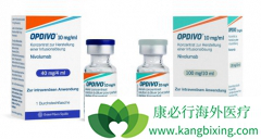 PD-1��������ҩ��Opdivo�����ڰ��ְ�֢����