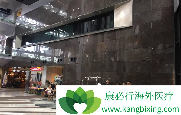 ҽ������