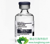 ���ư�֢��PD-1����Keytruda��Ҫ��������