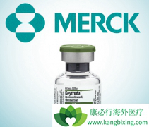 �ŵ�PD-1����������������������ע