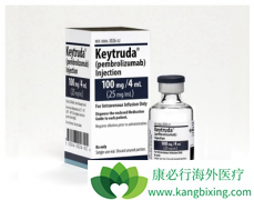 PD-1�Ʒ��������������еķΰ�����