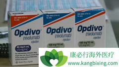 ������Щ��ȺPD-1������ѵ�Ч��?