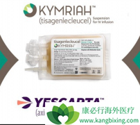 CAR-Tϸ�����Ʋ�Ʒ�봫ͳ����ҩ������������