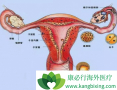 ���ڹ�����֢״�����Գ��˽������綨��ɸ��Ҳ����Ҫ