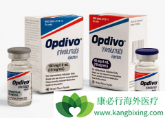 PD-1���Ƽ�Ŀǰ�Ǵ��ȵķΰ��������Ʒ���