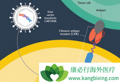 Kymriah���׸��������е�CAR-Tϸ���Ʒ�