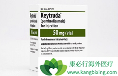 PD-1���ʵ������������Ч����ֻռ1/5