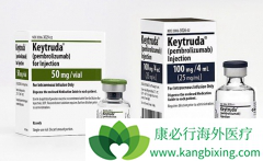 PD-1�������ҩ����������Ч�������ù���