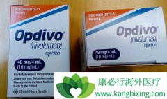 PD-1����Nivolumab�����ڸΰ����Ƶ���ѡ��