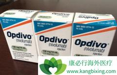 PD-1���Ƽ���Ȭ��Keytruda�ɹ�������������ͳ