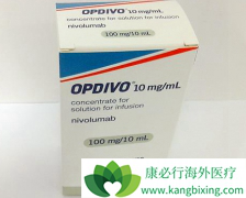 ʹ��PD-1���Ƽ����ư�֢���ܲ����ĸ�����