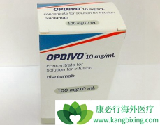 �й���ҩ��˾��PD-1/L1��Ʒ�з�����Ľ���