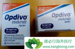 PD-L1���ﲻ���ж���PD-1ҩ��Opdivo�ı�׼