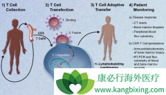 CAR-Tϸ��������δ���ε�Tϸ��������ȱ��