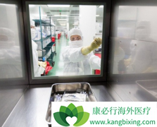 CAR-T�����Ʒ����ܹ����������԰�