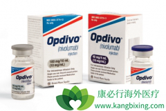 ĿǰFDA�Ѿ���׼������PD-1���Ƽ���ҩ��