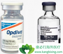 PD-1��Ч�����ͻ��ΰ����ߵ�����ʱ��