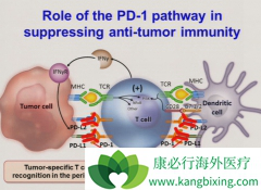 ���PD-1���Ƽ����й�ҩ����ύ����������