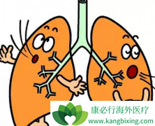 �ΰ��������ܻ�����������Ӱ��Ƚϴ�