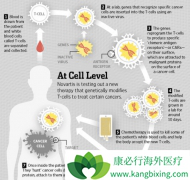 �Ƽ�����������2020�����е�һ��CAR-T��Ʒ