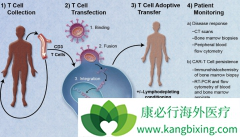 ���ѪҺ����CAR-T��ʵ���������չ����