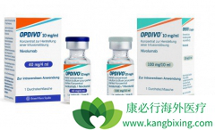 �ٴ��������PD-1������Ч���߿ɳ�������