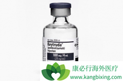 �����л���ͻ��Ļ���ʹ��PD-1��Ч��������