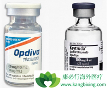 PD-1��û�а���ҩ���õĻ��������ʵõ����