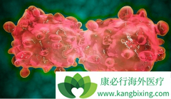 ���ڳ����ĵı��ʰ�֢״��Ҫ������